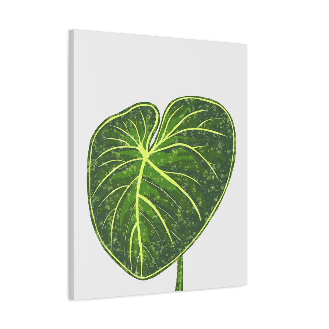 Philodendron Gloriosum Canvas Print Stretched Wall Art Botanical Leaf Print Matte Finish Gallery Wrapped Canvas