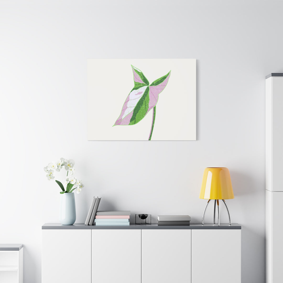 Syngonium Tricolor Canvas Print – Botanical Wall Art - The Potted Pixel