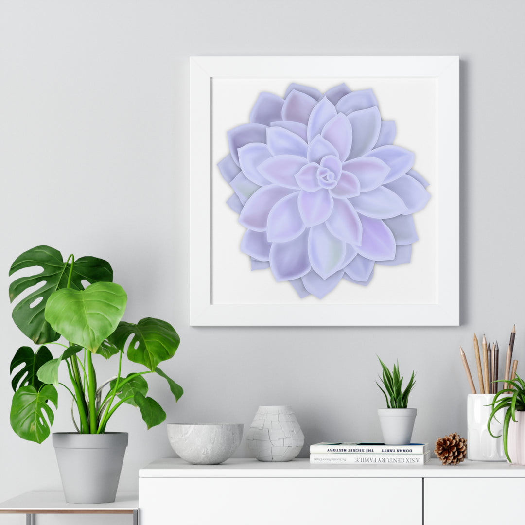 Graptopetalum Murasaki Succulent Framed Print – Botanical Wall Art - The Potted Pixel