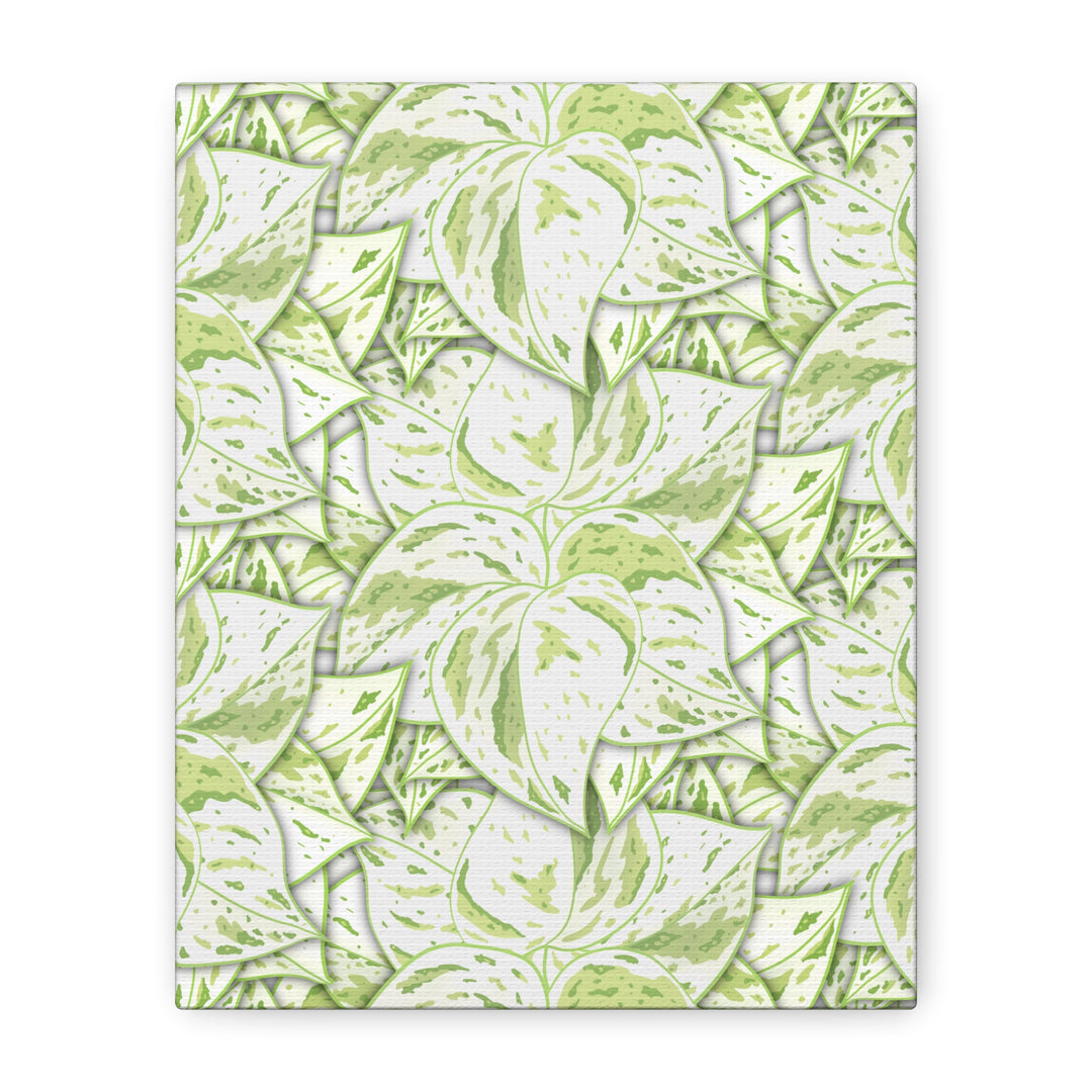Snow Queen Pothos Canvas Print With Variegated White Leaves In Matte Finish For Modern Home Decor