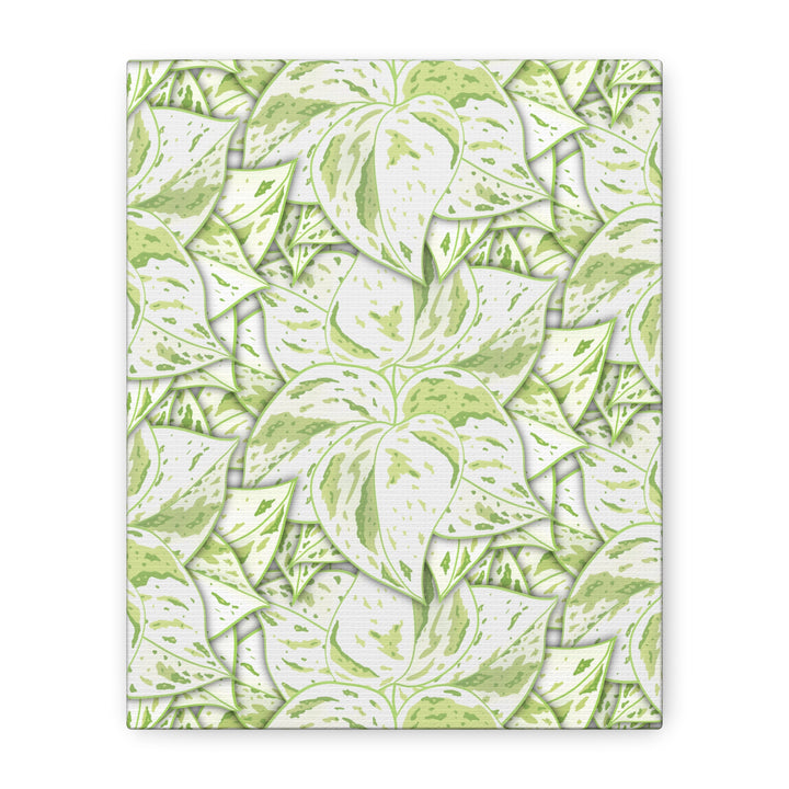 Snow Queen Pothos Canvas Print With Variegated White Leaves In Matte Finish For Modern Home Decor