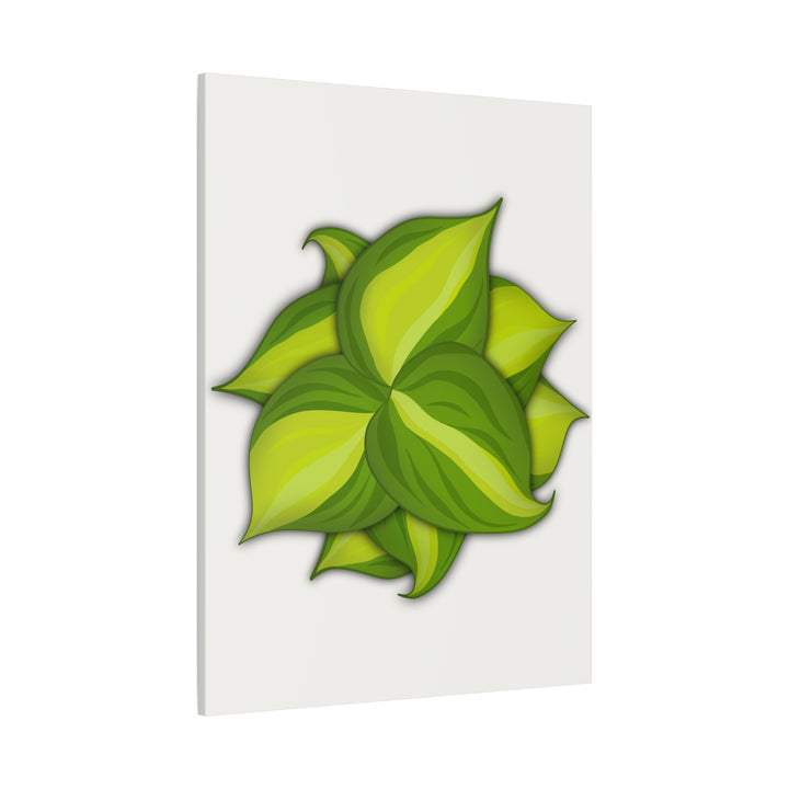 Philodendron Brasil Canvas Print Matte Stretched Canvas Indoor Plant Art For Modern Greenery Decor