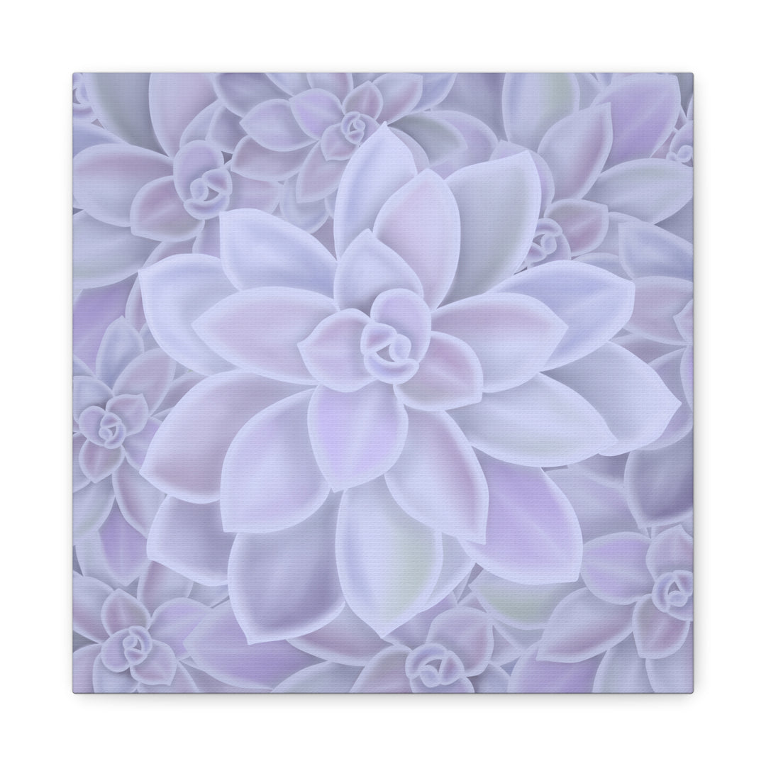 Graptopetalum Murasaki Succulent Canvas Art Print Pastel Purple Rosette Indoor Plant Decor
