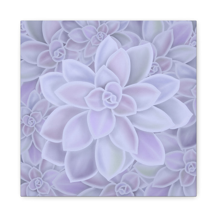Graptopetalum Murasaki Succulent Canvas Art Print Pastel Purple Rosette Indoor Plant Decor