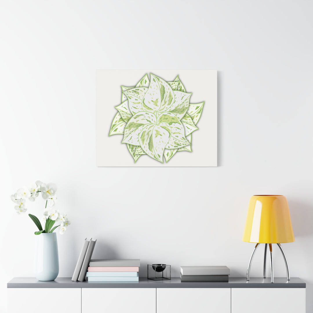 Snow Queen Pothos Canvas Wall Art Variegated Indoor Plant Leaf Poster Print Cotton Canvas