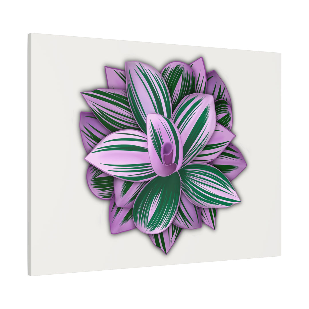 Tradescantia Nanouk Canvas Botanical Wall Art Print Pink Green Foliage On Stretched Cotton Canvas