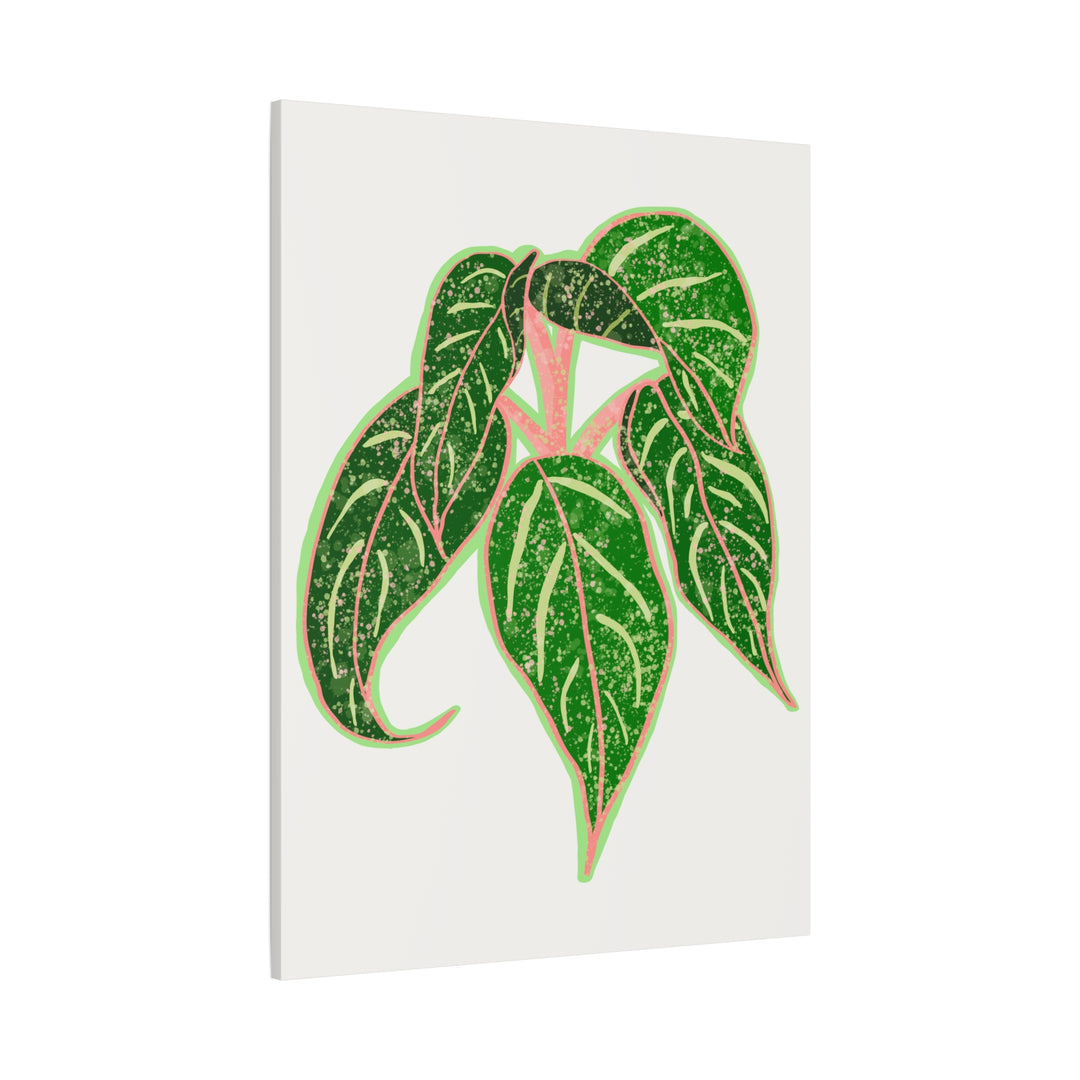 Aglaonema Sparkling Sarah Botanical Canvas Print On Matte Stretch Canvas For Modern Living Room Decor