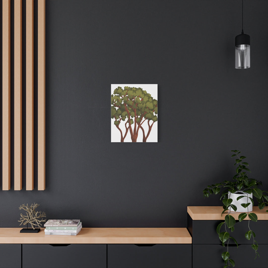 Pacific Madrone Canvas Print – Wall Art