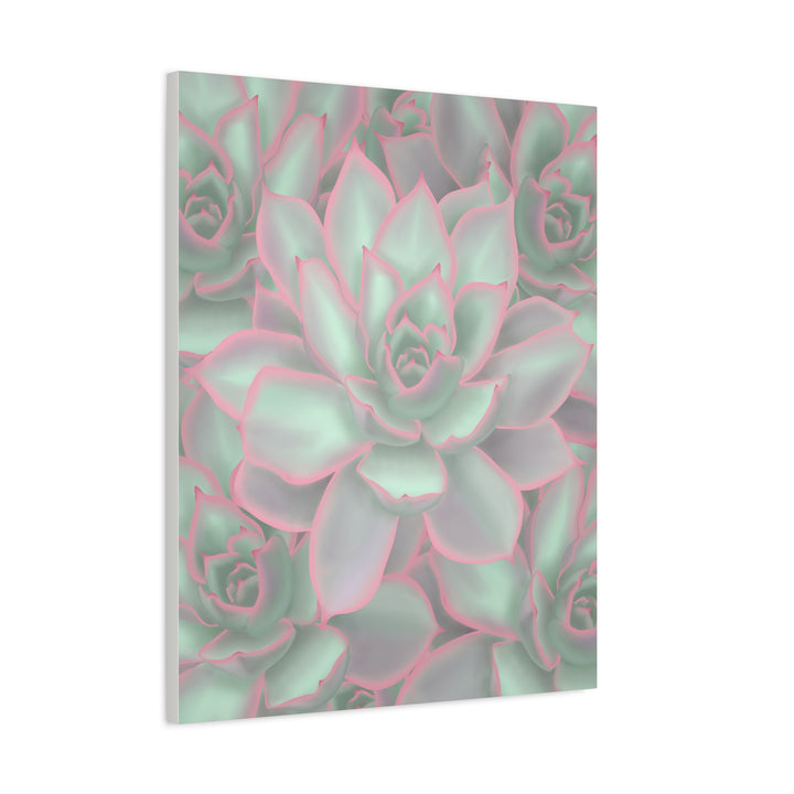 Echeveria Violet Queen Canvas Wall Art Succulent Print Matte Botanical Decor For Indoor Spaces