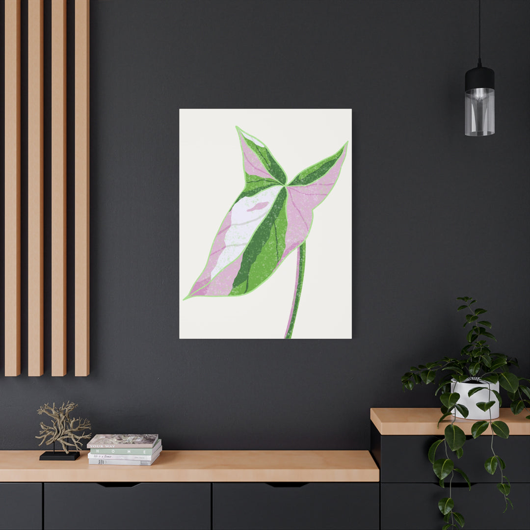 Syngonium Tricolor Canvas Print – Botanical Wall Art - The Potted Pixel