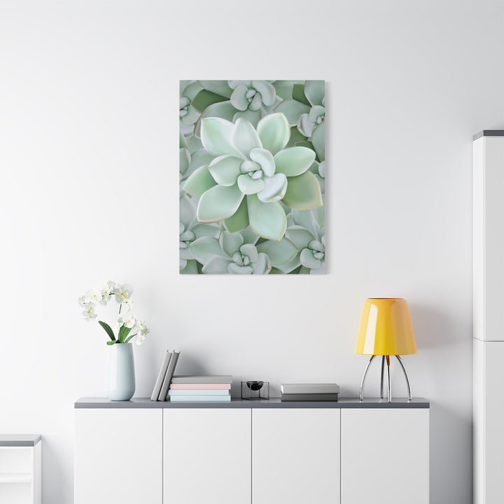 Pachyveria Haagei Succulent Pattern Canvas Art for Modern Home Decor 16x20 Matte Print
