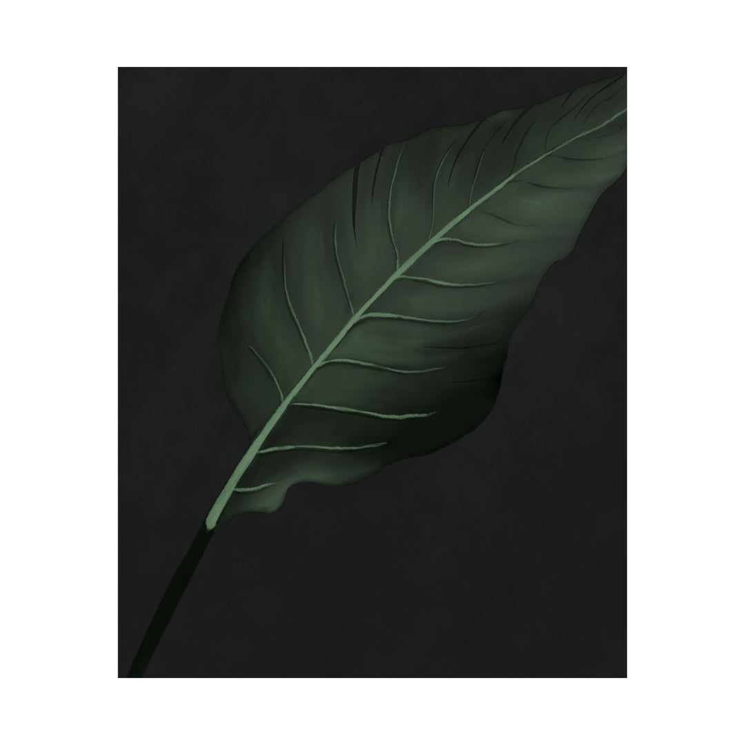 Bird of Paradise Botanical Print – Unframed Wall Art