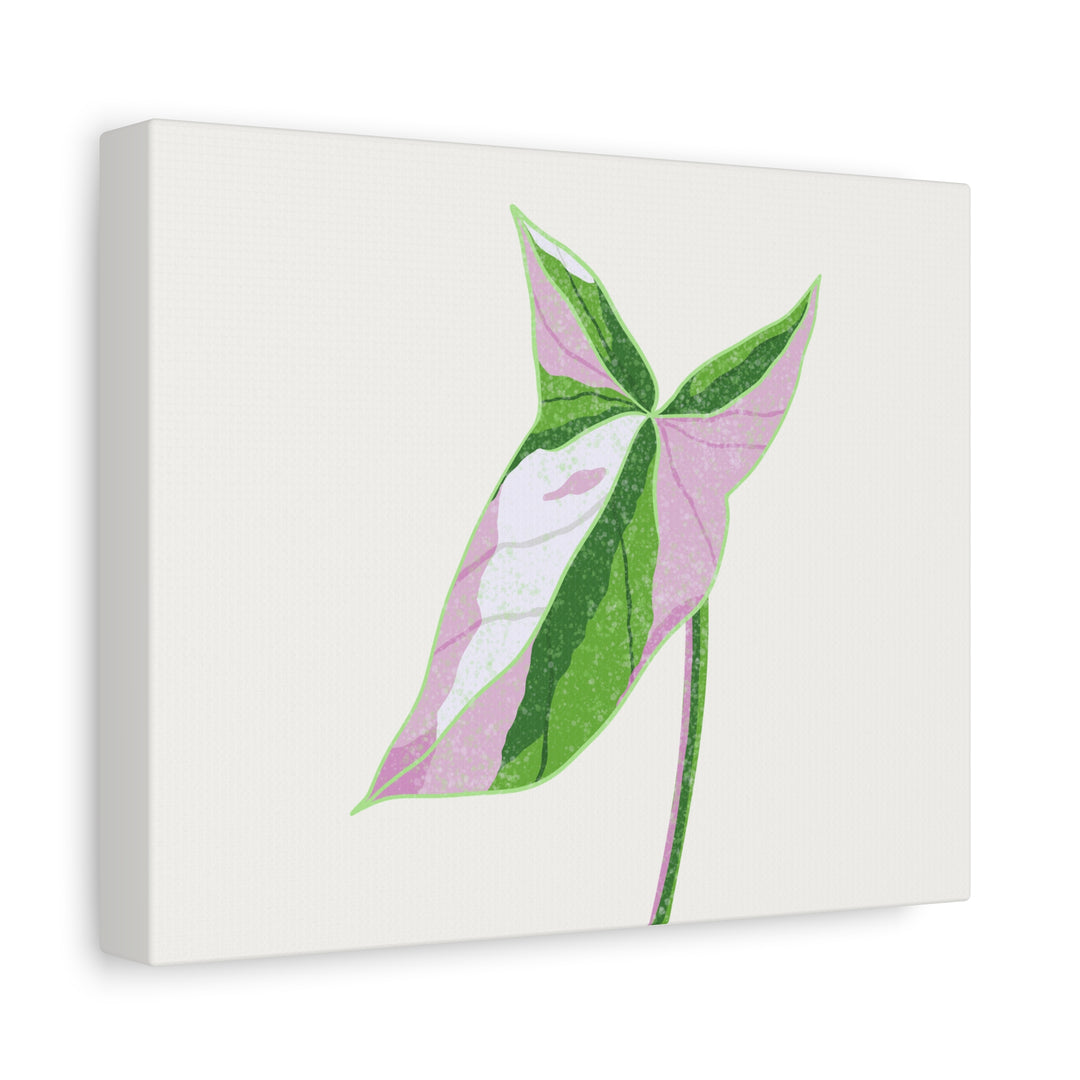 Syngonium Tricolor Canvas Print – Botanical Wall Art - The Potted Pixel