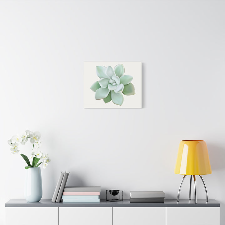 Succulent Canvas Art Pachyveria Haagei Print On Matte Finish Canvas Botanical Wall Decor