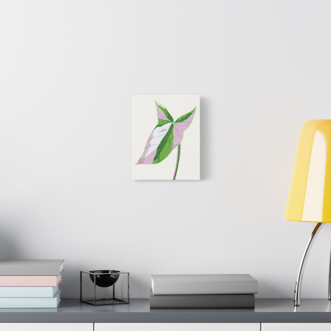 Syngonium Tricolor Canvas Print – Botanical Wall Art - The Potted Pixel