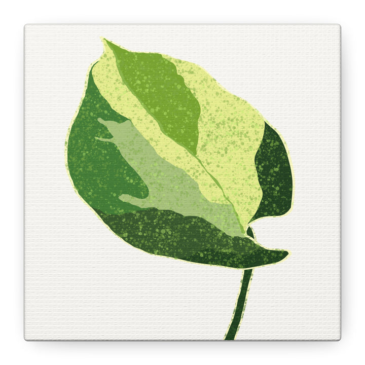 Manjula Pothos Botanical Canvas Print Matte Finish Stretched Canvas Wall Art 1.25 Inch Depth