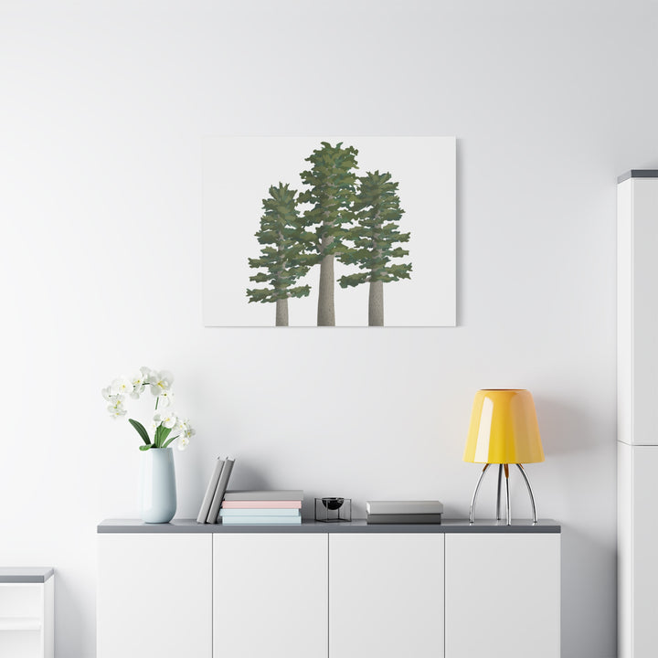 Sitka Spruce Canvas Print – Wall Art
