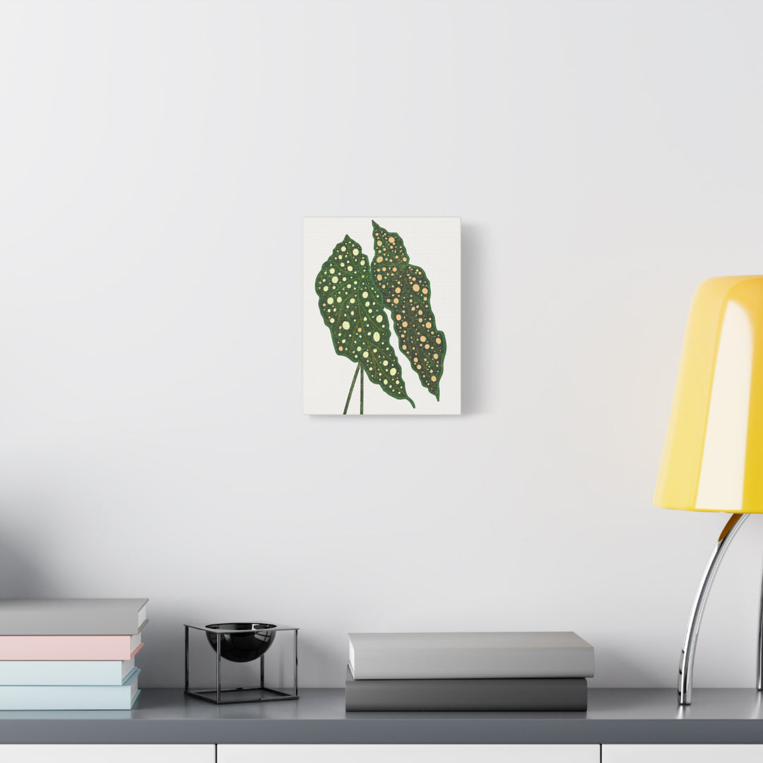 Begonia Maculata Canvas Premium Botanical Wall Art Print On Cotton Canvas With Matte Finish For Indoor Decor