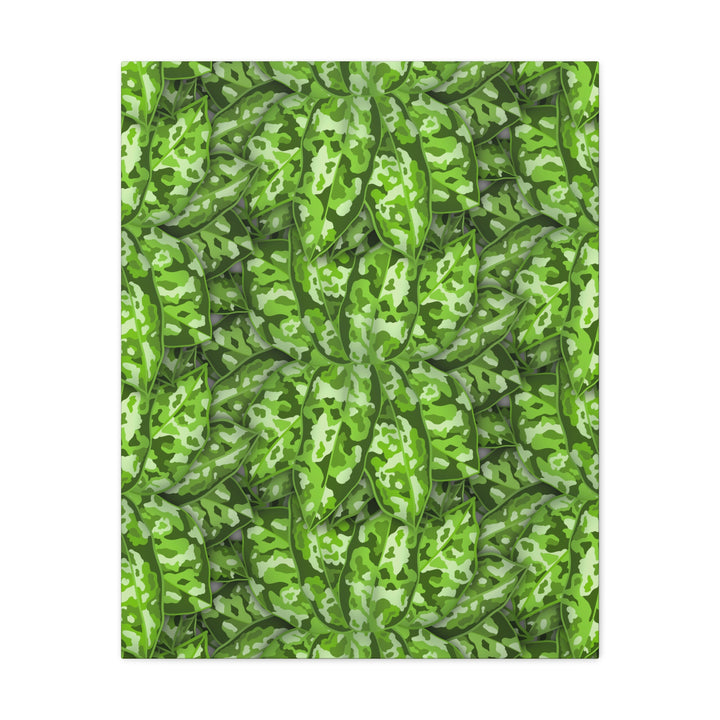 Aglaonema Pictum Canvas Wall Art Rare Plant Print Matte Finish For Modern Home Decor