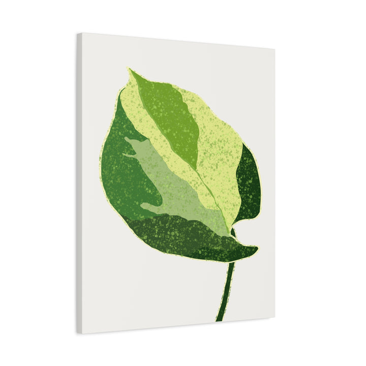 Manjula Pothos Botanical Canvas Print Matte Finish Stretched Canvas Wall Art 1.25 Inch Depth