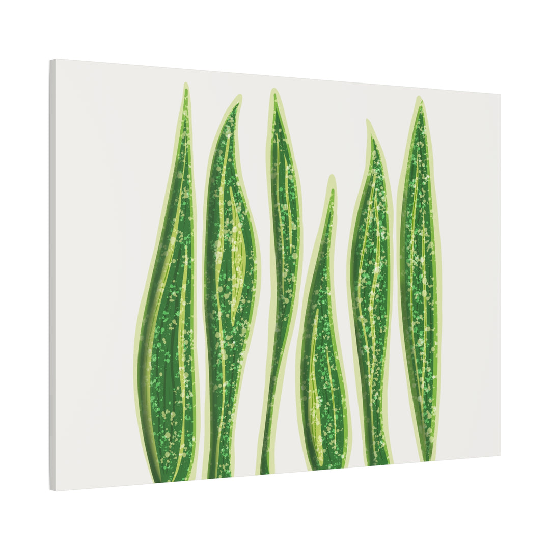 Snake Plant Canvas Print Matte 1.25 Inch Stretch Canvas Wall Art For Living Room Decor