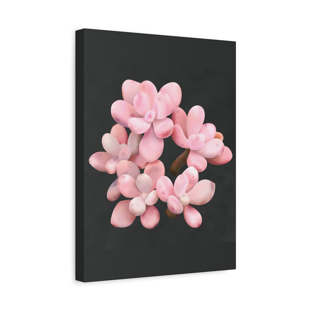 Pink Moonstone Canvas Print – Botanical Wall Art