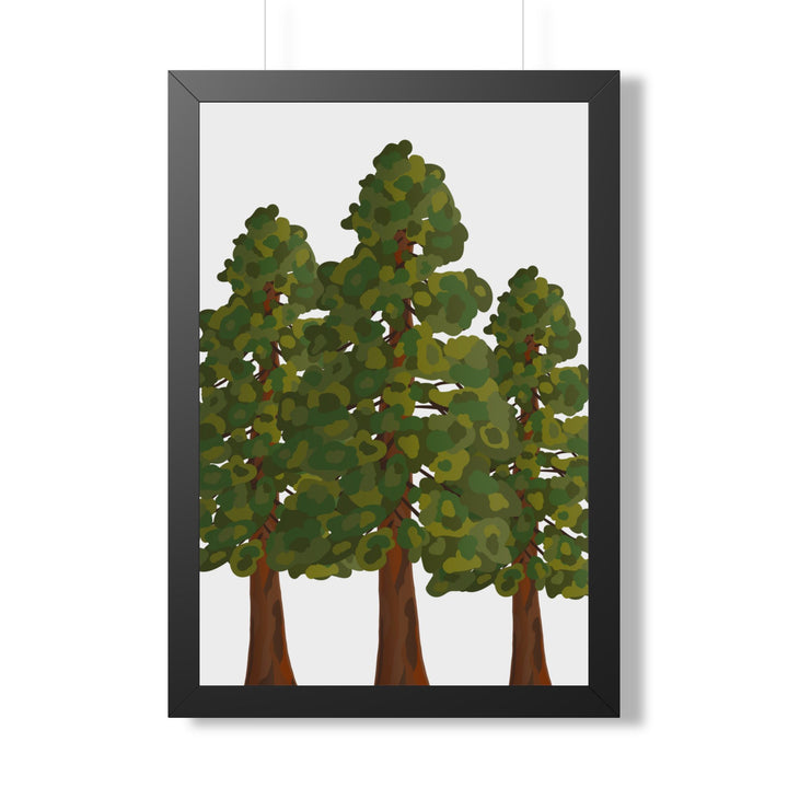 Coastal Redwood Framed Print – Wall Art