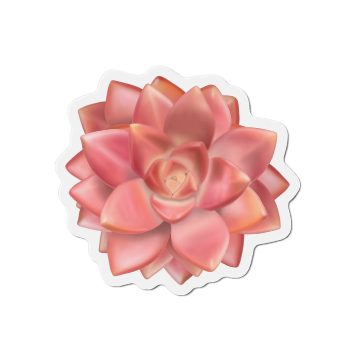 Graptosedum California Sunset Succulent Magnet