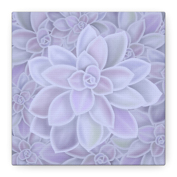 Graptopetalum Murasaki Succulent Canvas Art Print Pastel Purple Rosette Indoor Plant Decor