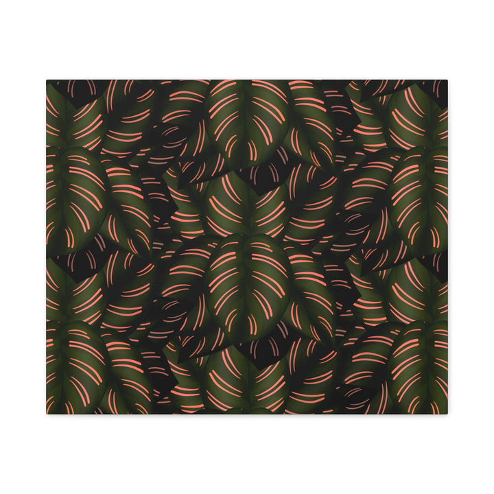 Calathea Pinstripe Canvas Print With Matte Finish Stretched Botanical Wall Art For Living Room Decor