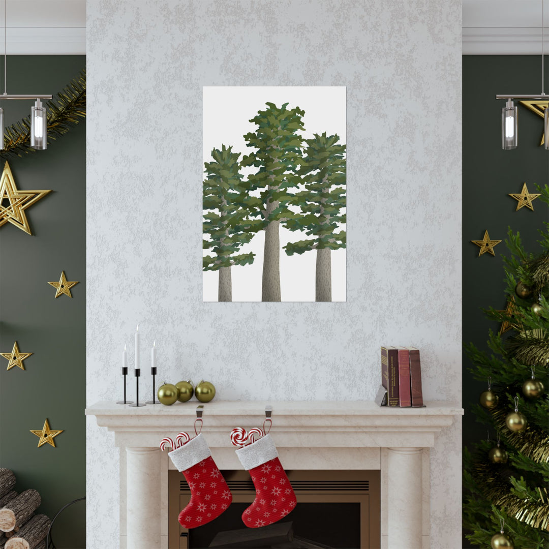 Sitka Spruce Print – Unframed Wall Art