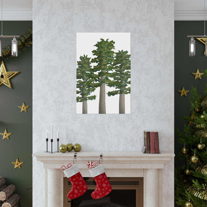 Sitka Spruce Print – Unframed Wall Art