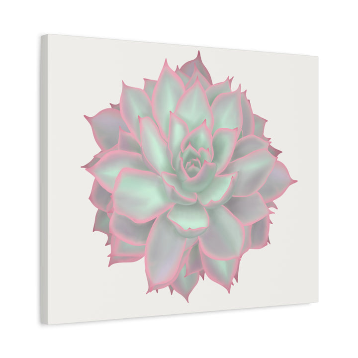 Echeveria Violet Queen Canvas Wall Art Rosette Succulent Print With Matte Finish