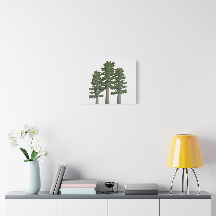 Sitka Spruce Canvas Print – Wall Art