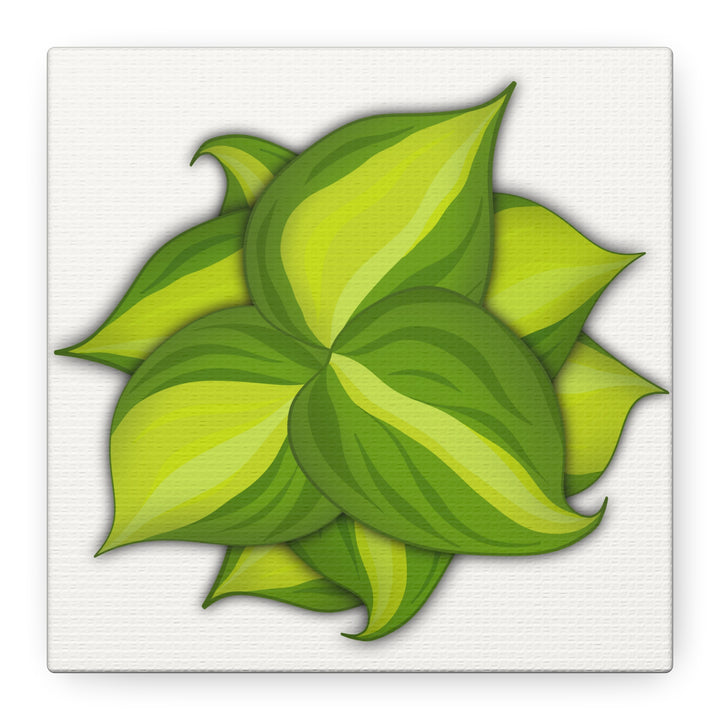 Philodendron Brasil Canvas Print Matte Stretched Canvas Indoor Plant Art For Modern Greenery Decor