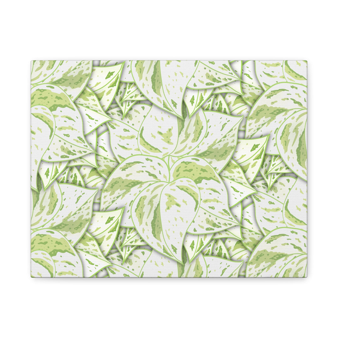 Snow Queen Pothos Canvas Print With Variegated White Leaves In Matte Finish For Modern Home Decor