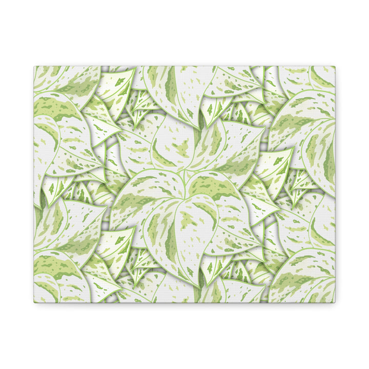 Snow Queen Pothos Canvas Print With Variegated White Leaves In Matte Finish For Modern Home Decor