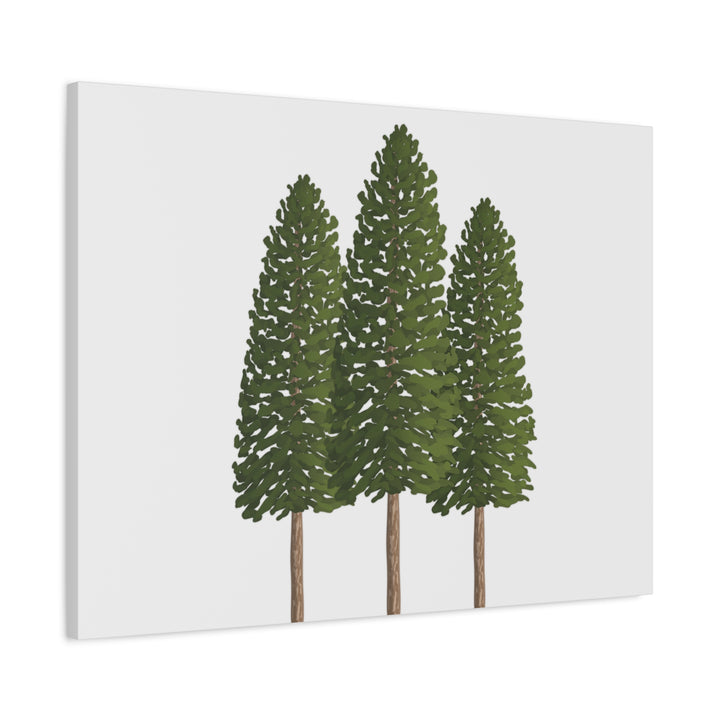 Three Ponderosa Pine Canvas Wall Art Matte Stretched Print Minimalist Forest Landscape Decor