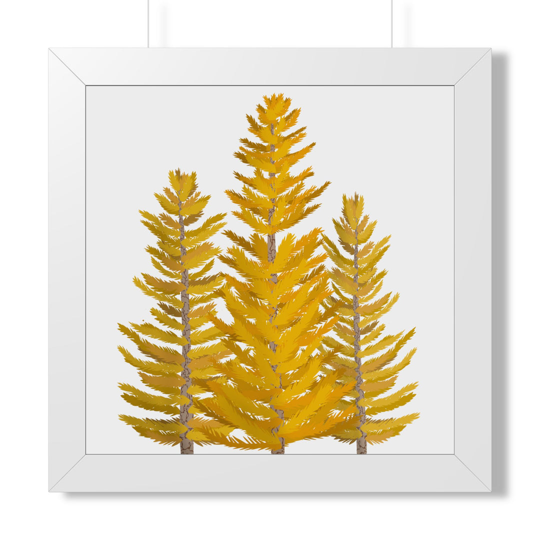 Western Larch Framed Print – Wall Art