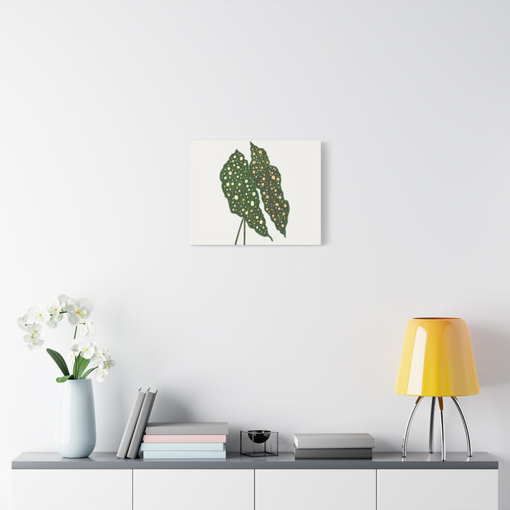 Begonia Maculata Canvas Premium Botanical Wall Art Print On Cotton Canvas With Matte Finish For Indoor Decor