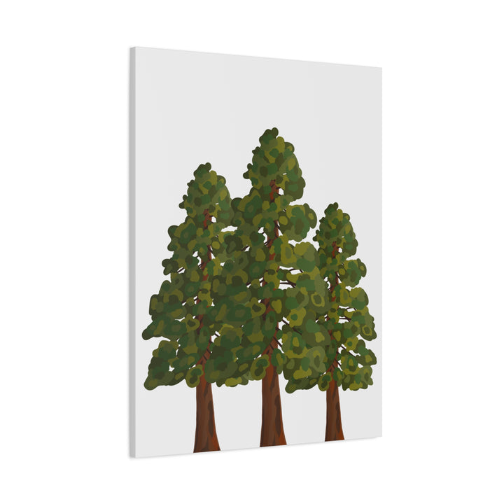Coastal Redwoods Matte Canvas Print On 1.25 Inch Stretched Canvas For Serene Forest Wall Art In Living Rooms