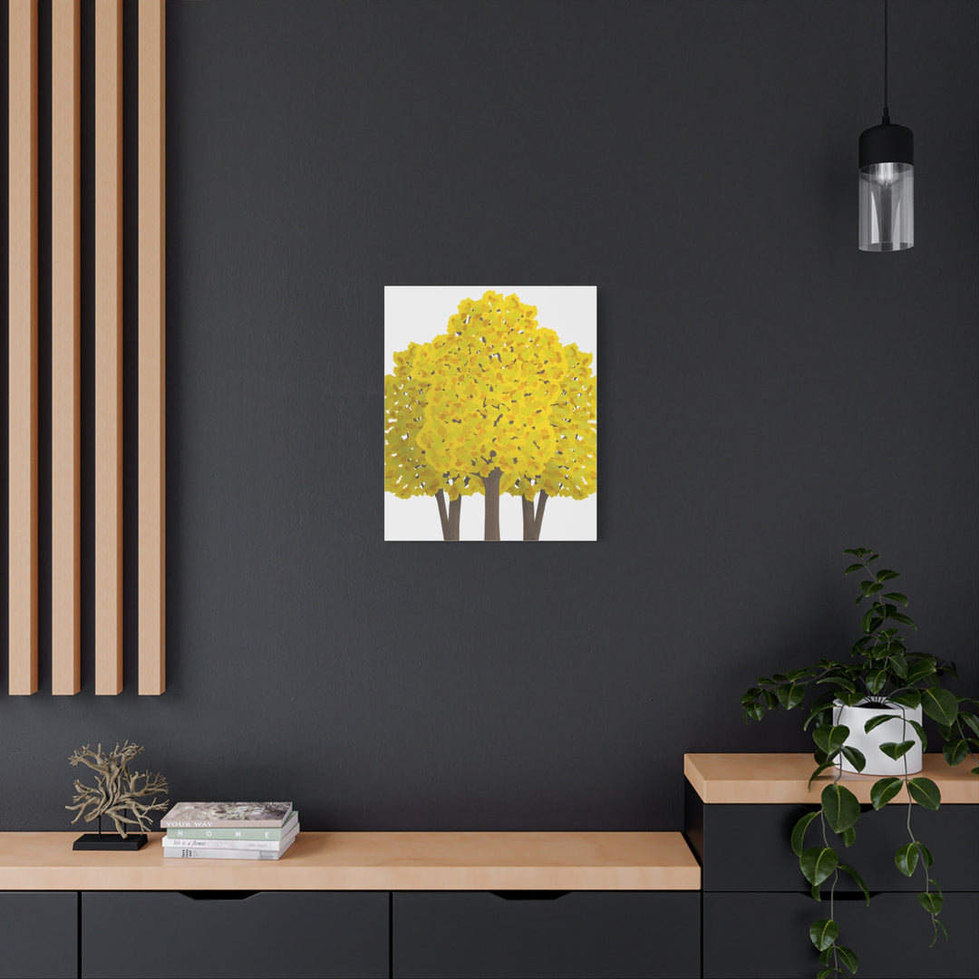 Big Leaf Maple Canvas Print – Wall Art
