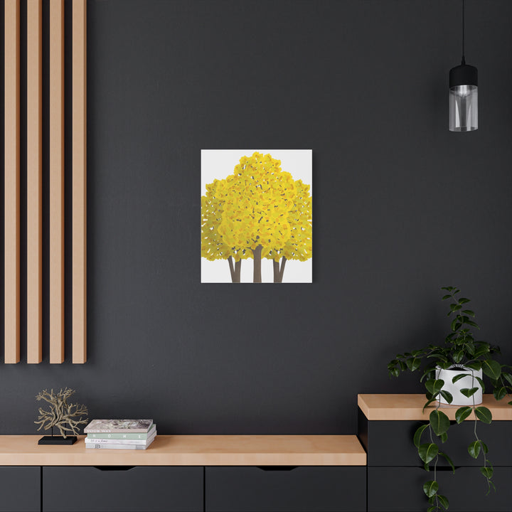 Big Leaf Maple Canvas Print – Wall Art
