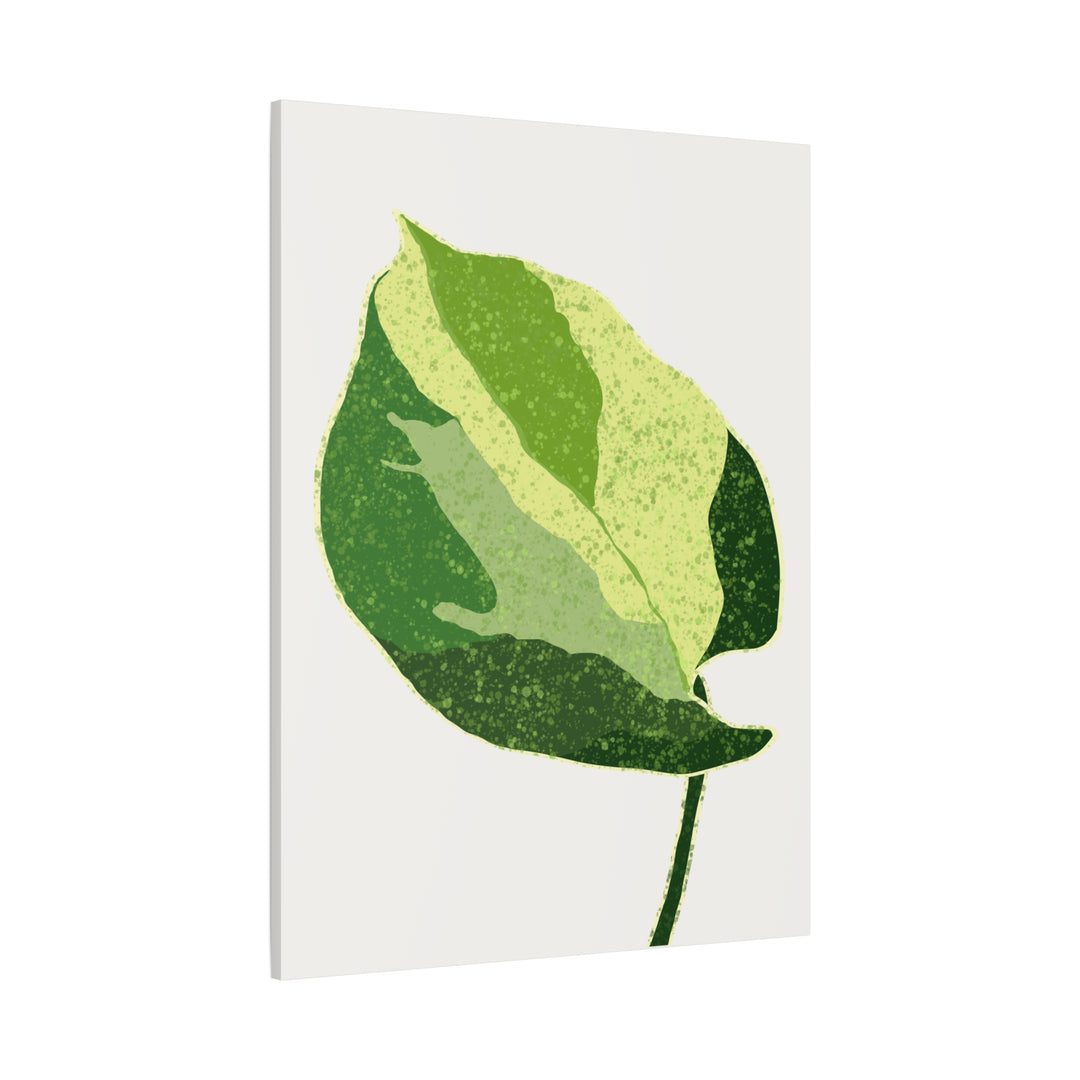 Manjula Pothos Botanical Canvas Print Matte Finish Stretched Canvas Wall Art 1.25 Inch Depth