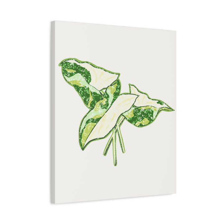 Marble Syngonium Canvas Botanical Wall Art Stretched Print On Durable Cotton Canvas Matte Finish