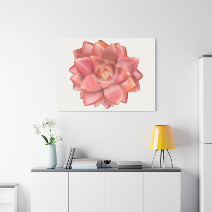 Succulent Canvas Art California Sunset Rosette Botanical Wall Art Print The Potted Pixel