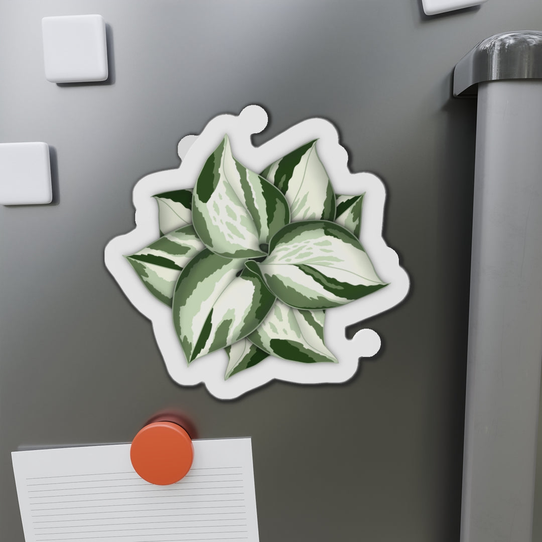 Manjula Pothos Magnet