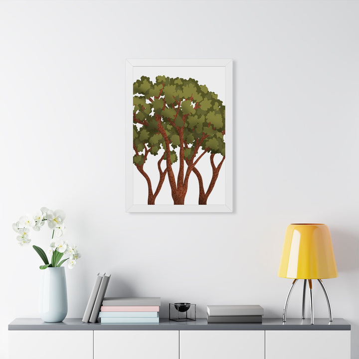 Pacific Madrone Framed Print – Wall Art