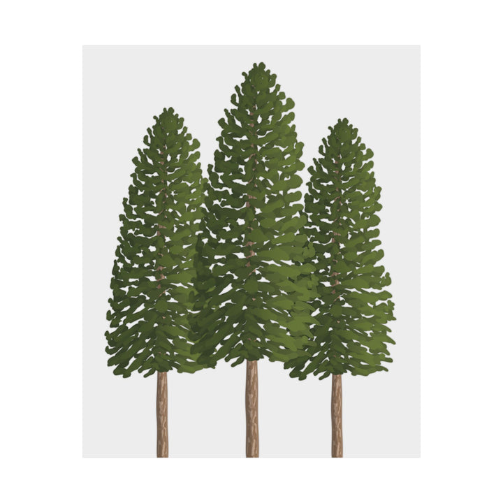 Ponderosa Pine Print – Unframed Wall Art