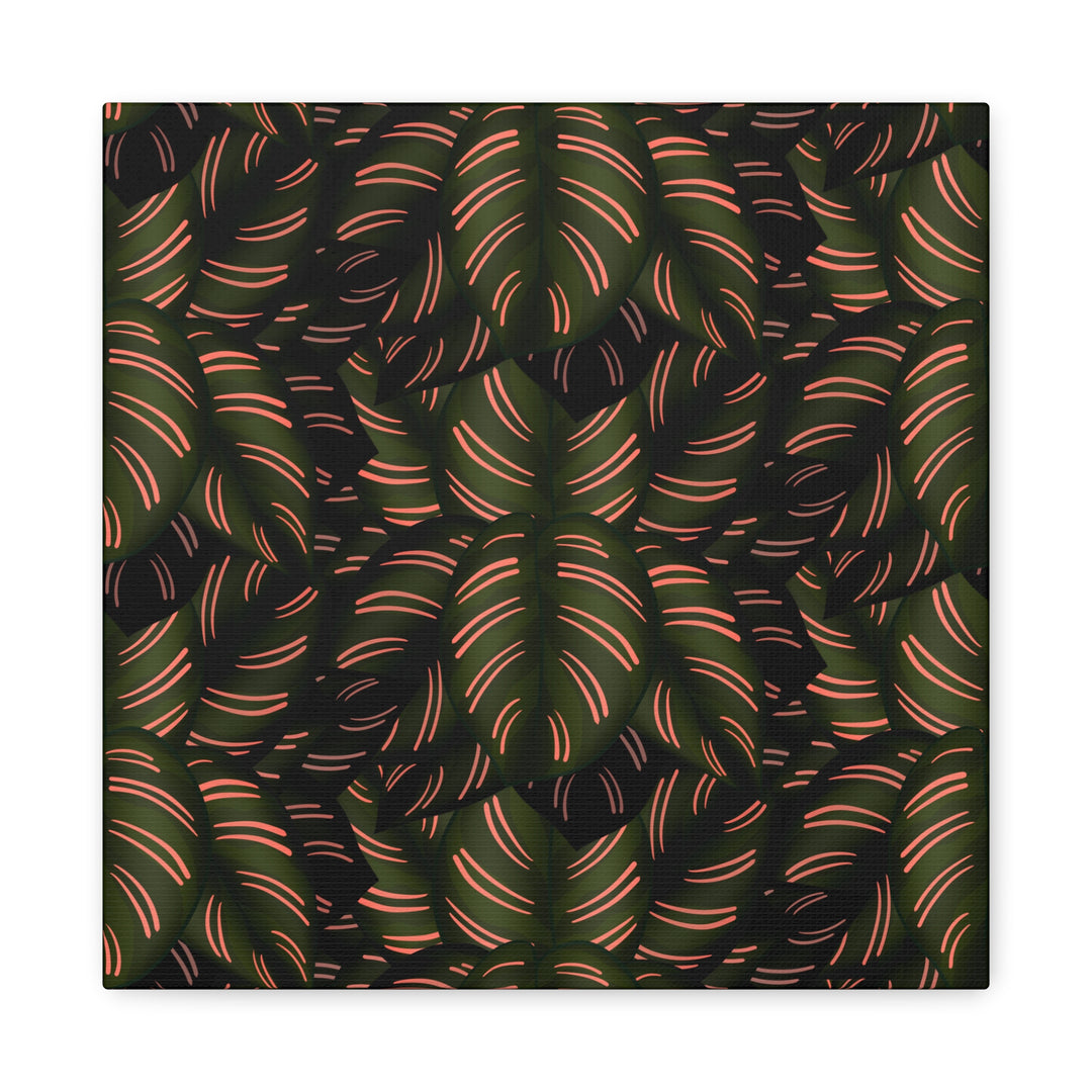 Calathea Pinstripe Canvas Print With Matte Finish Stretched Botanical Wall Art For Living Room Decor